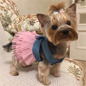 Tutu Dress